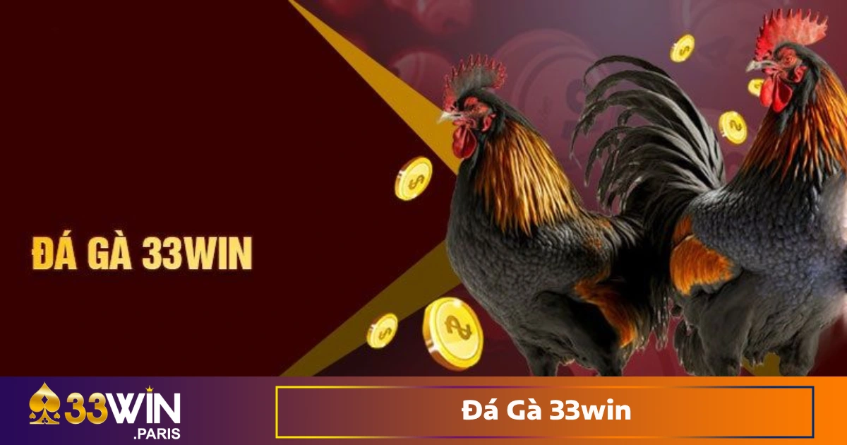 Hệ Thống Đá Gà 33win Trực Tuyến Có Gì Đặc Biệt?