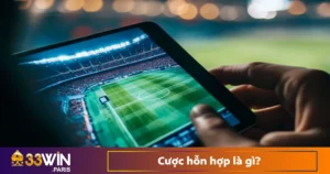 Cược Hỗn Hợp Là Gì? Giải Thích Dễ Hiểu Tại Nhà Cái 33WIN